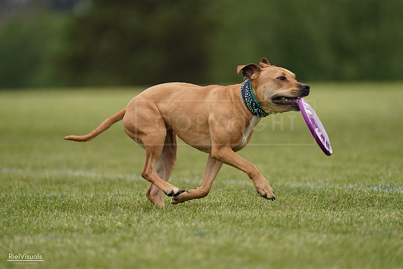 RielVisuals_20240526_135033_SJR09260