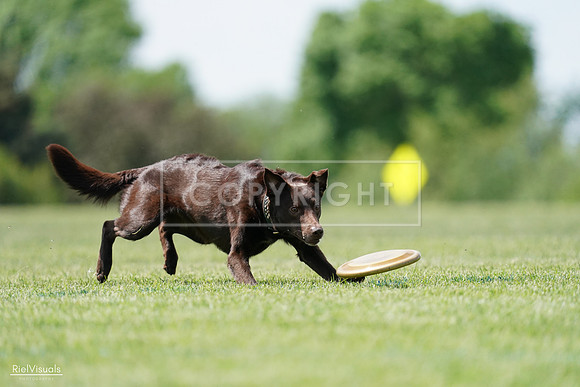 RielVisuals_20240525_120823_SJR08816