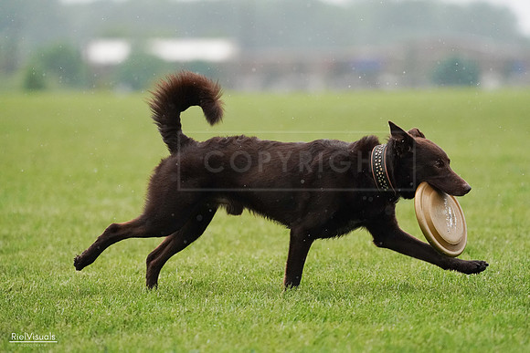 RielVisuals_20240527_100911_SJR09373