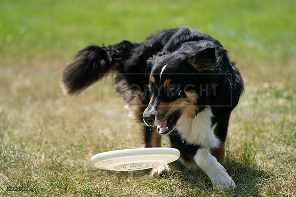 RielVisuals_20240728_132147_SJR05936