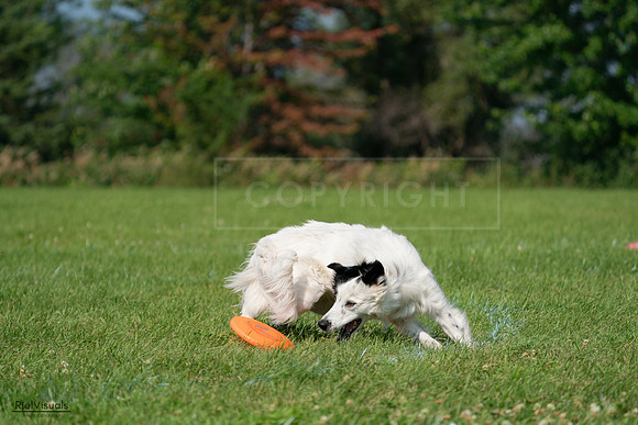RielVisuals_20240728_102835_SJR08187