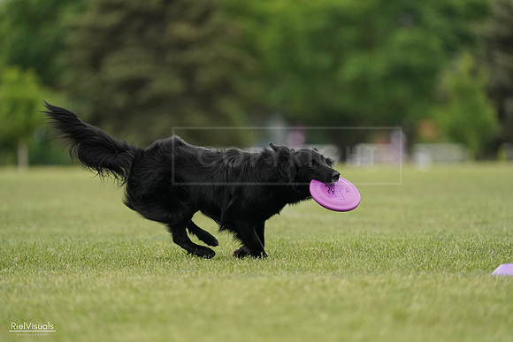 RielVisuals_20240526_133801_SJR08402