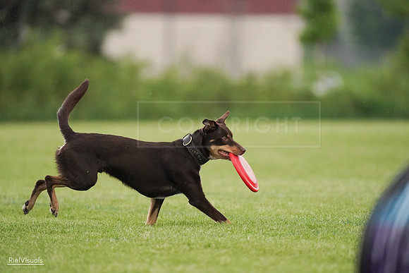 RielVisuals_20240526_095646_SJR01445