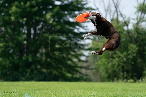 RielVisuals_20240727_135056_SJR08635