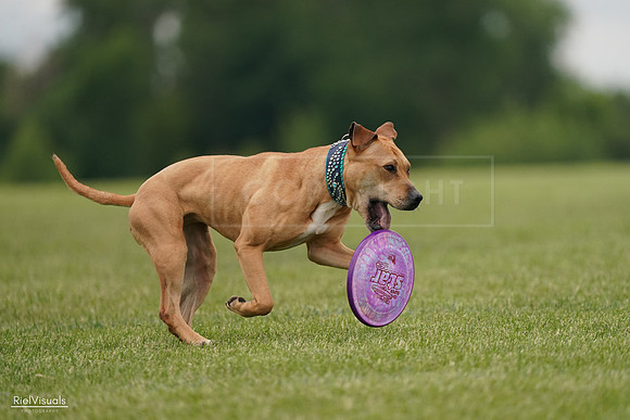 RielVisuals_20240526_135049_SJR09299