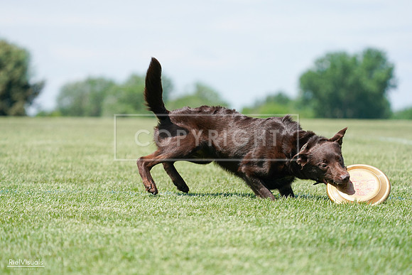 RielVisuals_20240525_120831_SJR08870