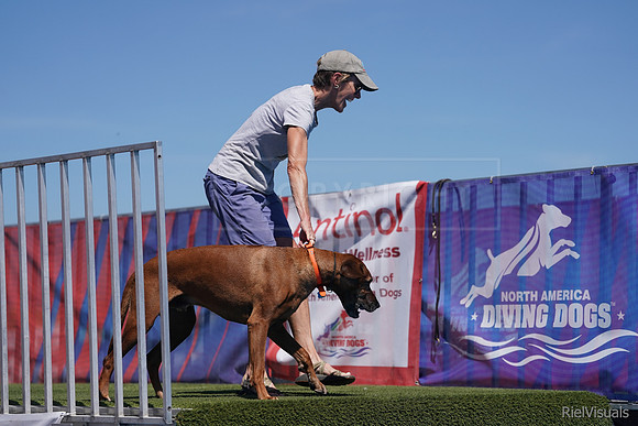 SJR08034