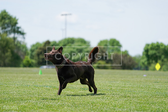 RielVisuals_20240525_120801_SJR08734