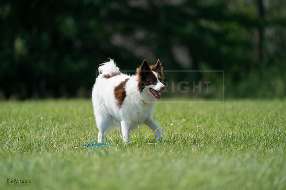 RielVisuals_20240728_145343_SJR09467