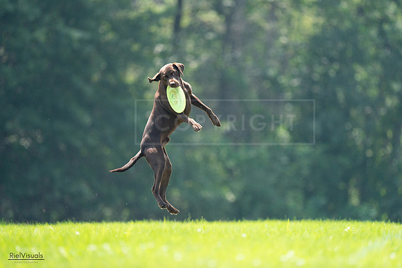 RielVisuals_20240727_123343_SJR05863