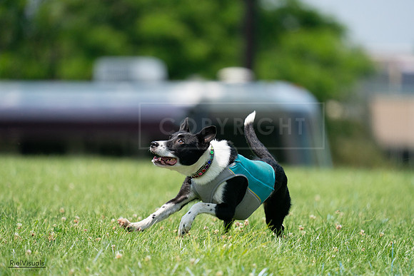 RielVisuals_20240727_135625_SJR08995
