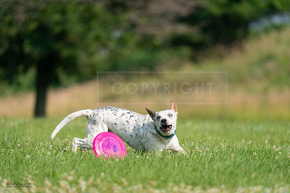 RielVisuals_20240727_095450_SJR08045