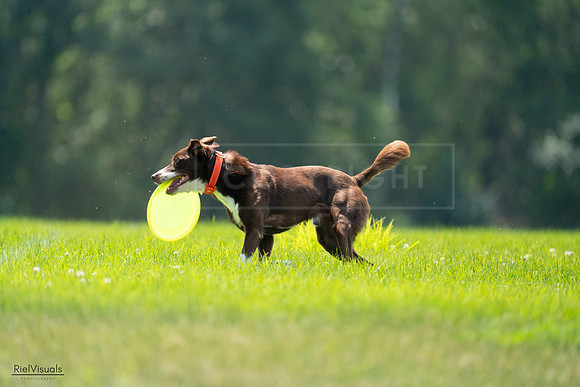 RielVisuals_20240727_123203_SJR05767