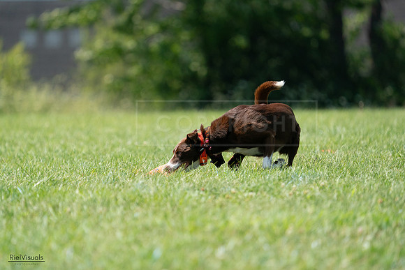 RielVisuals_20240728_151106_SJR00280