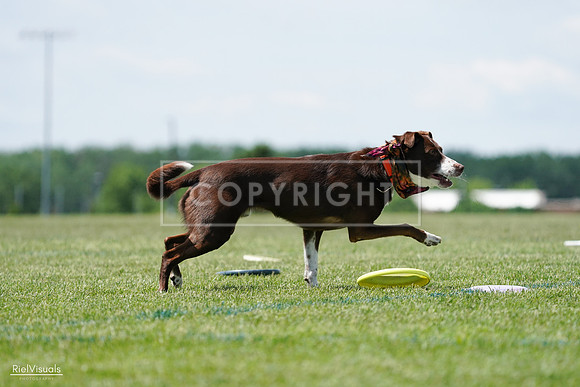 RielVisuals_20240525_122027_SJR09591