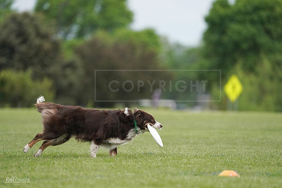 RielVisuals_20240526_090458_SJR09039