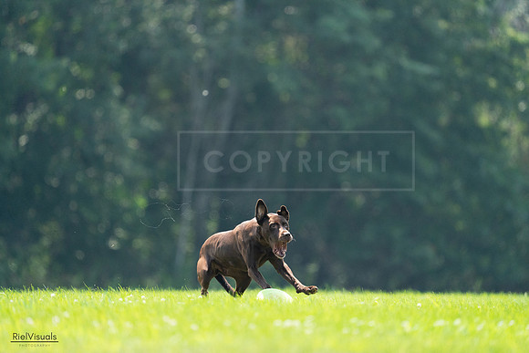 RielVisuals_20240727_123405_SJR05894