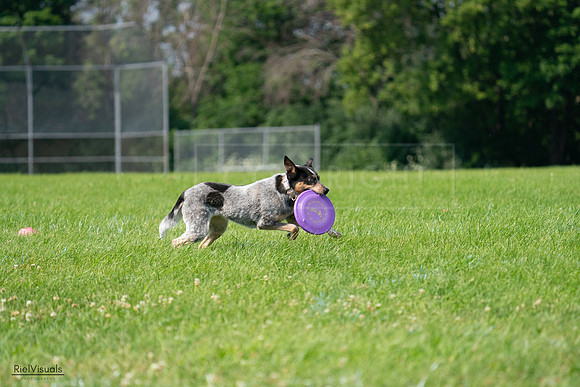 RielVisuals_20240728_103247_SJR08458