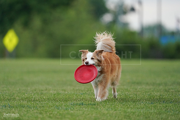 RielVisuals_20240526_101848_SJR09009