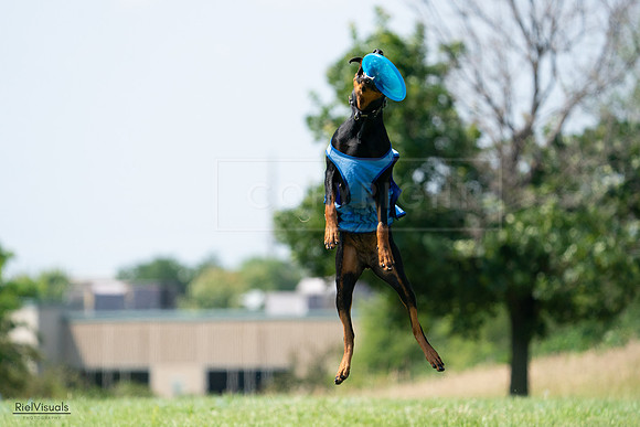 RielVisuals_20240728_145906_SJR09787