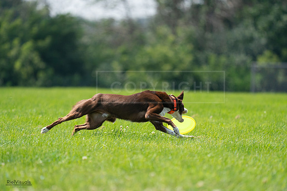 RielVisuals_20240727_125114_SJR06233