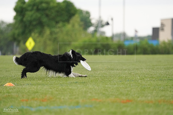 RielVisuals_20240526_095523_SJR01402