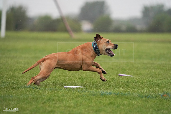 RielVisuals_20240527_094318_SJR08746