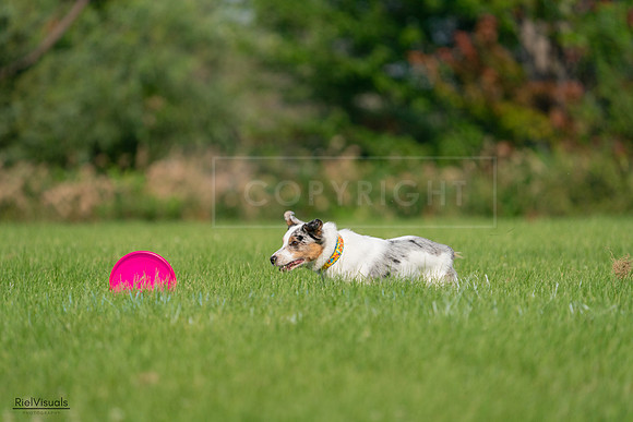 RielVisuals_20240727_092207_SJR06000