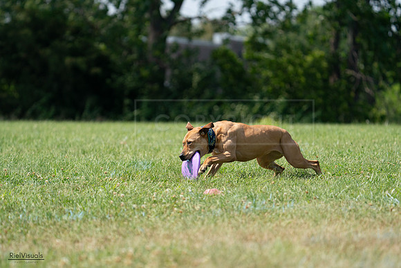 RielVisuals_20240728_150748_SJR00164