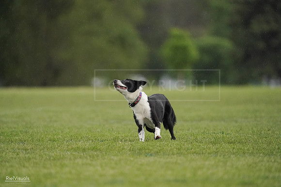 RielVisuals_20240526_093425_SJR00429