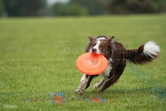 RielVisuals_20240527_091342_SJR06531