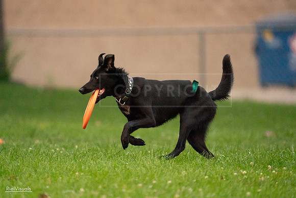 RielVisuals_20240722_195417_SJR02425