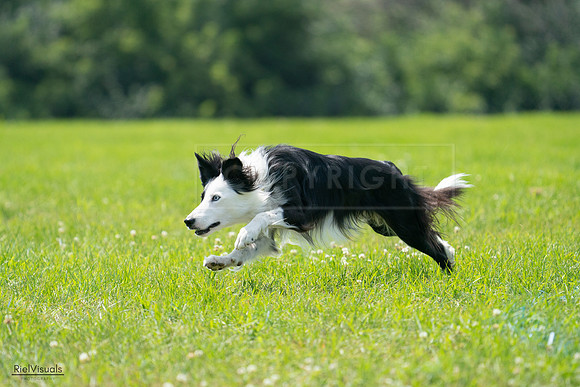 RielVisuals_20240728_130400_SJR04967