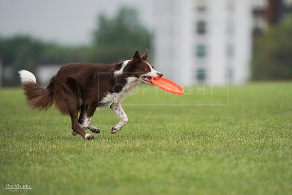 RielVisuals_20240527_091248_SJR06421