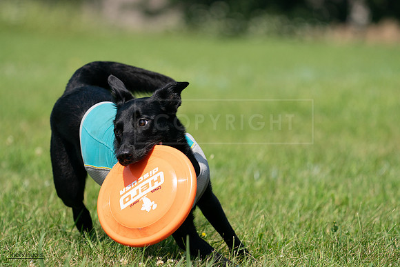 RielVisuals_20240728_114923_SJR02113