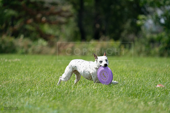 RielVisuals_20240728_133522_SJR06649