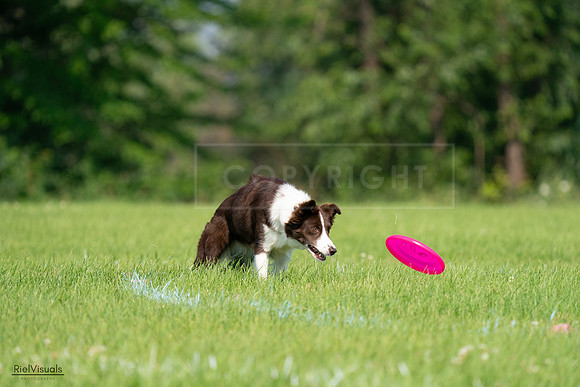 RielVisuals_20240727_095817_SJR08133