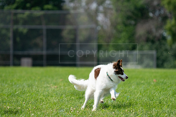 RielVisuals_20240728_121131_SJR03237