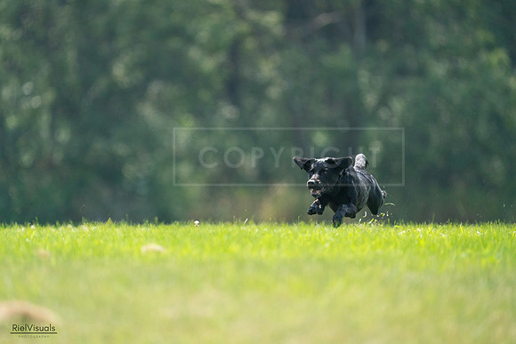 RielVisuals_20240727_121725_SJR05167
