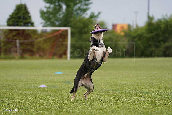 RielVisuals_20240526_134441_SJR08952