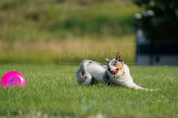 RielVisuals_20240727_092228_SJR06066