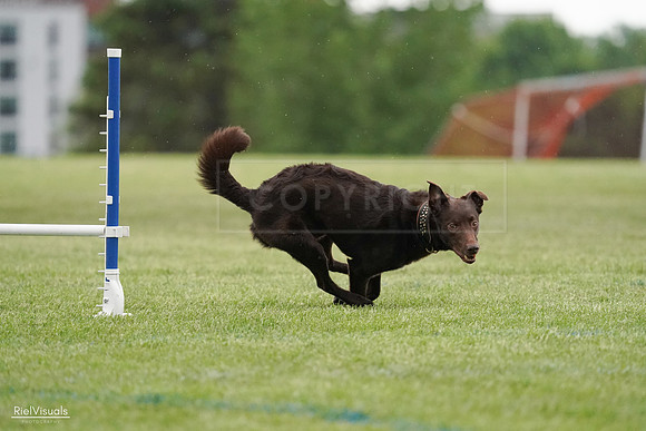 RielVisuals_20240526_090946_SJR09234