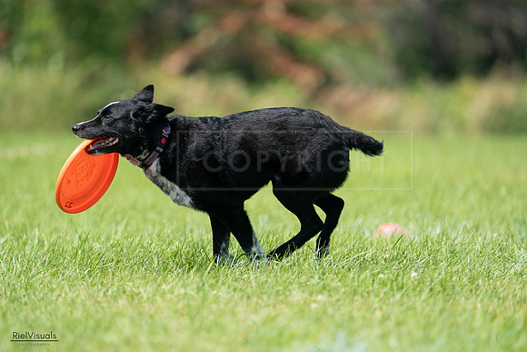 RielVisuals_20240728_115604_SJR02495