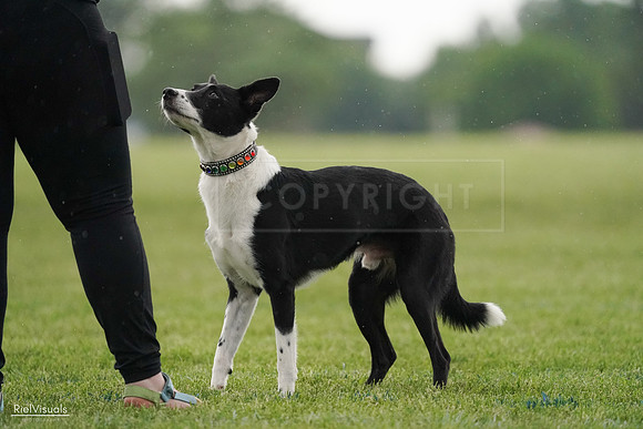 RielVisuals_20240526_093332_SJR00335