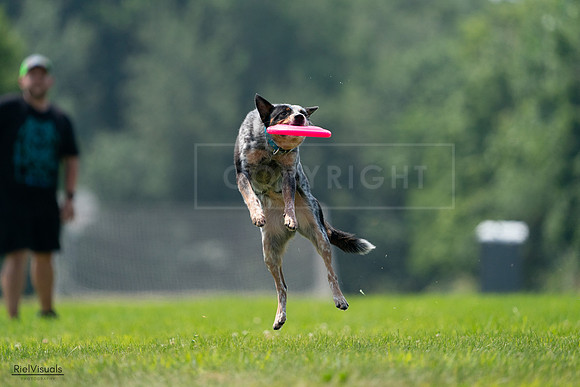 RielVisuals_20240727_120240_SJR04592