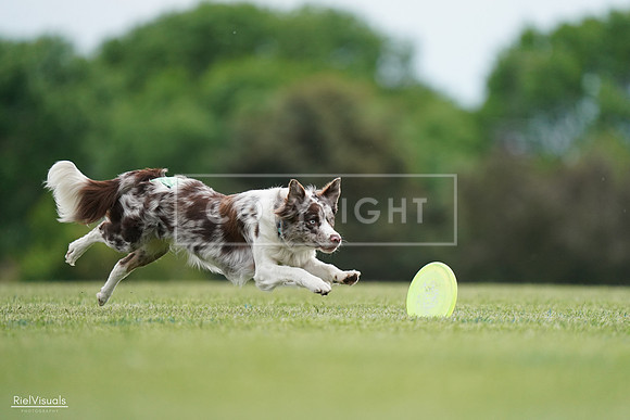 RielVisuals_20240525_161058_SJR03699
