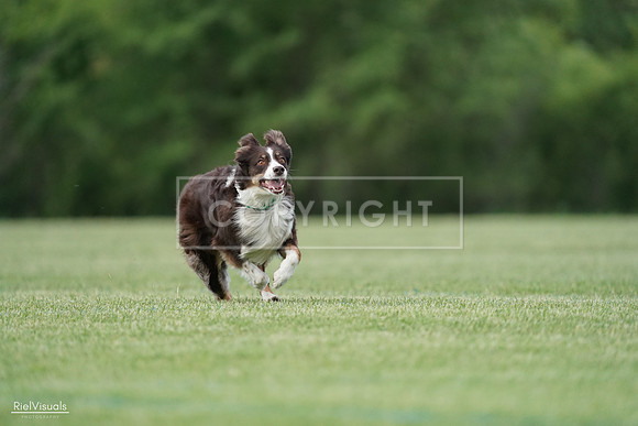 RielVisuals_20240525_090412_SJR09539