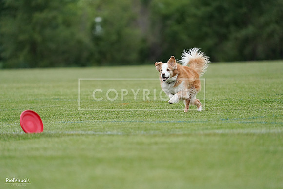 RielVisuals_20240525_170731_SJR06096