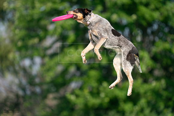 RielVisuals_20240727_093859_SJR07070