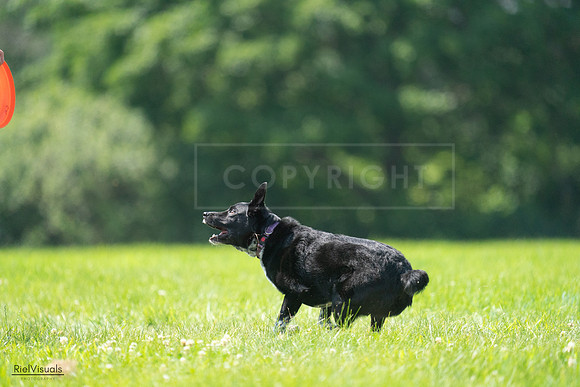 RielVisuals_20240728_115526_SJR02390